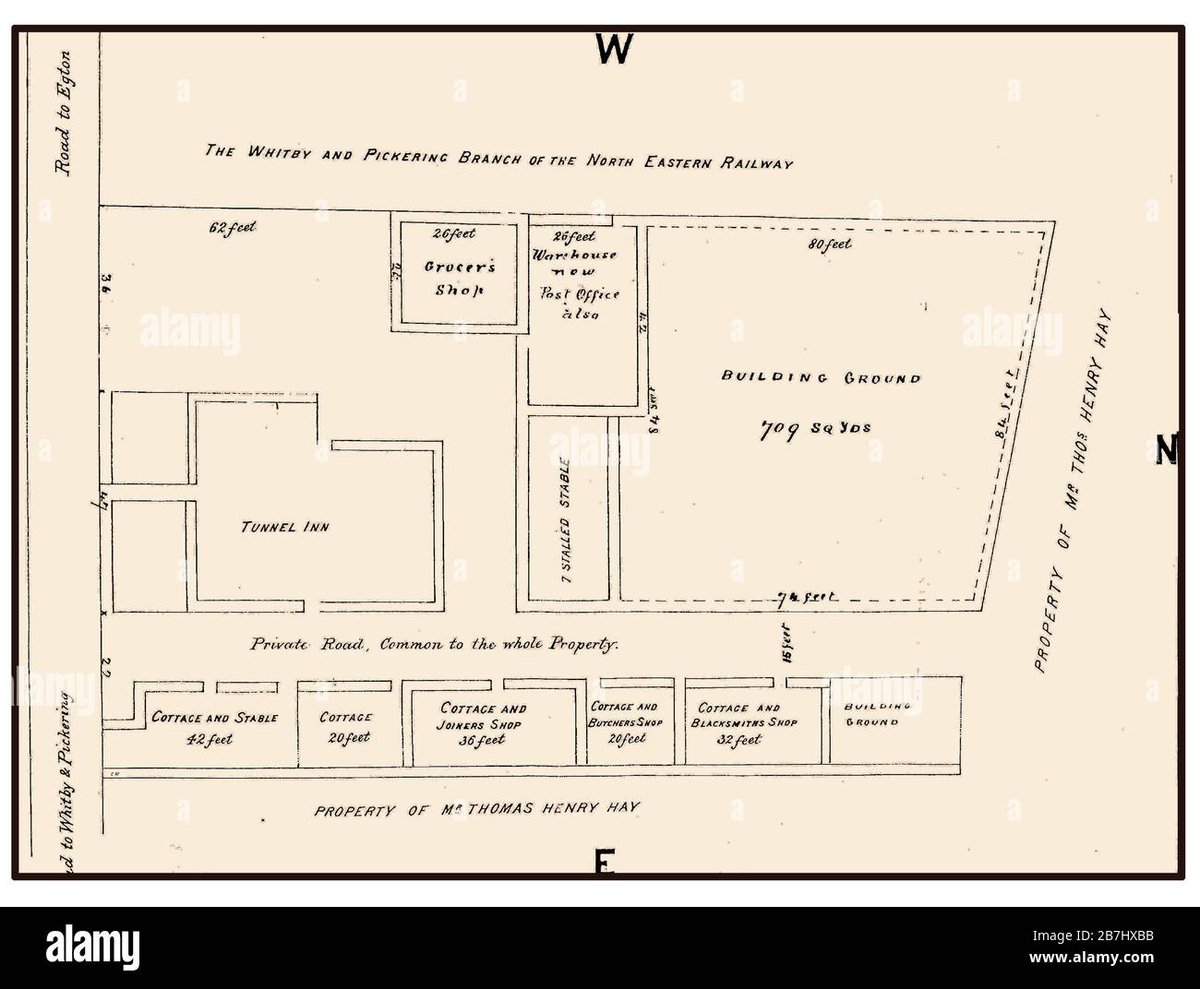 How Old Is Inosuke Hashibira in Konosuba Officially?